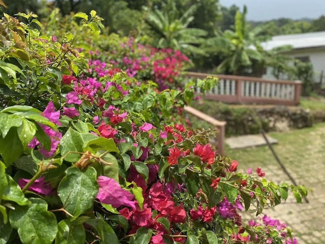 Vila Yanceylargo-6Br Two-Story Estate With Mountain Views Montego Bay